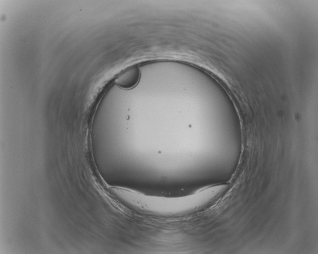 X0000060581507200512011719