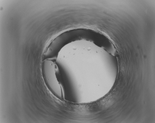 X0000060581508200512011719