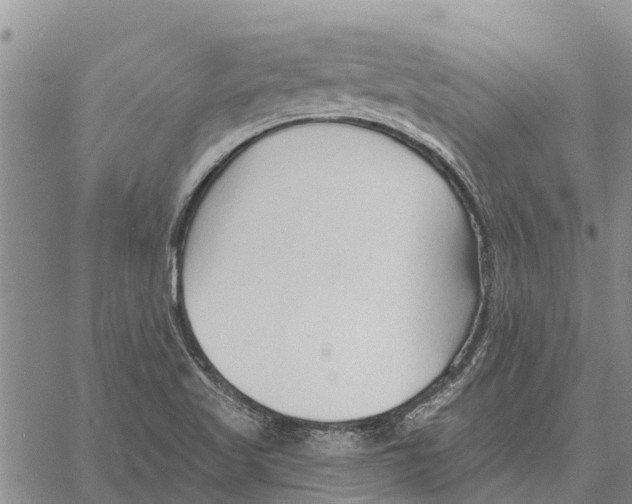 X0000060581509200512011720