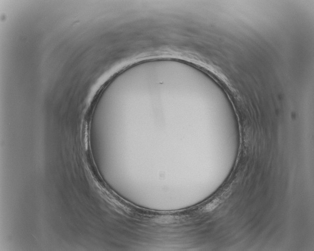 X0000060581510200512011720