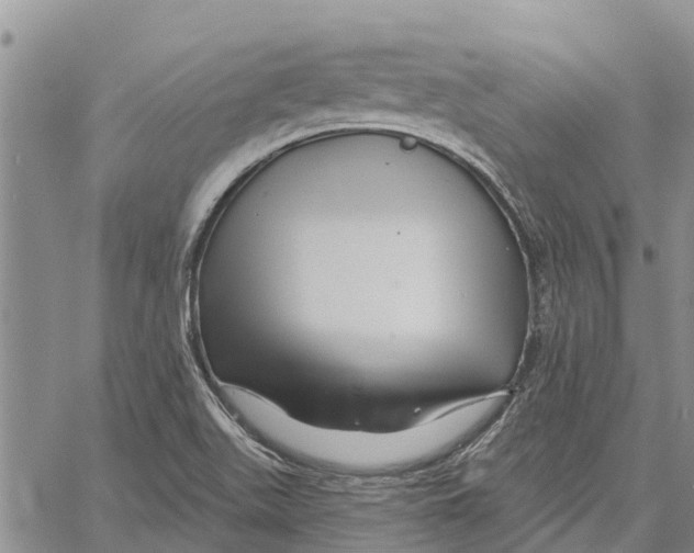 X0000060581511200512011720