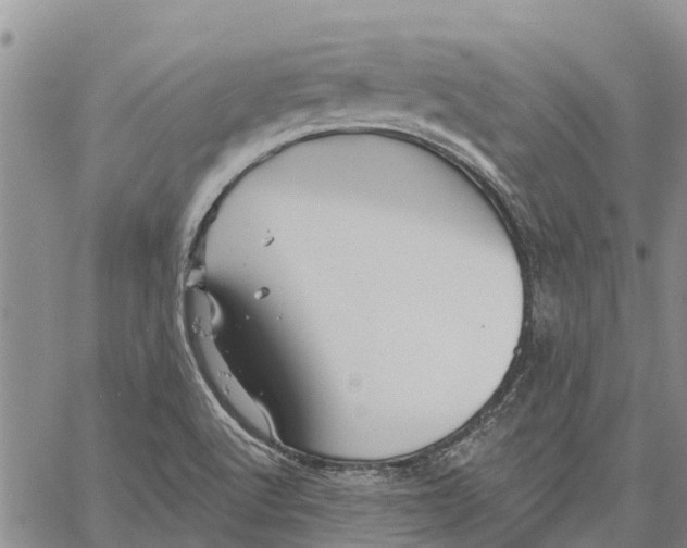 X0000060581512200512011720