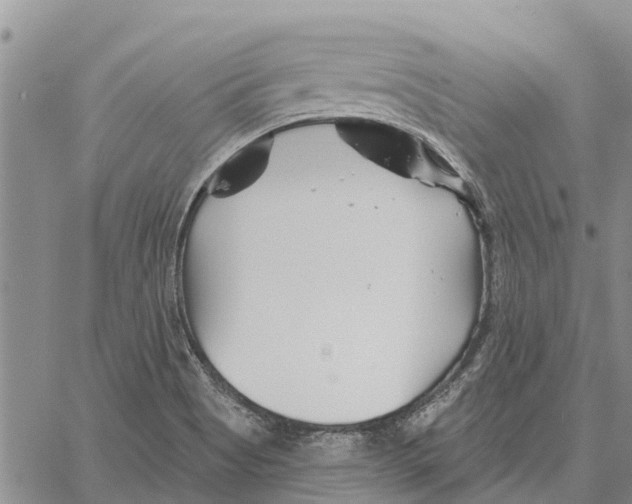 X0000060581513200512011720