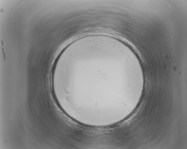 X0000060581514200512011720