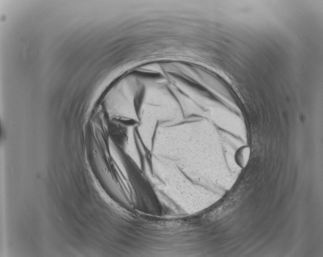 X0000060581515200512011720