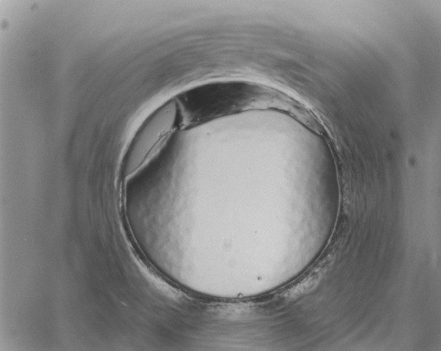 X0000060581519200512011720