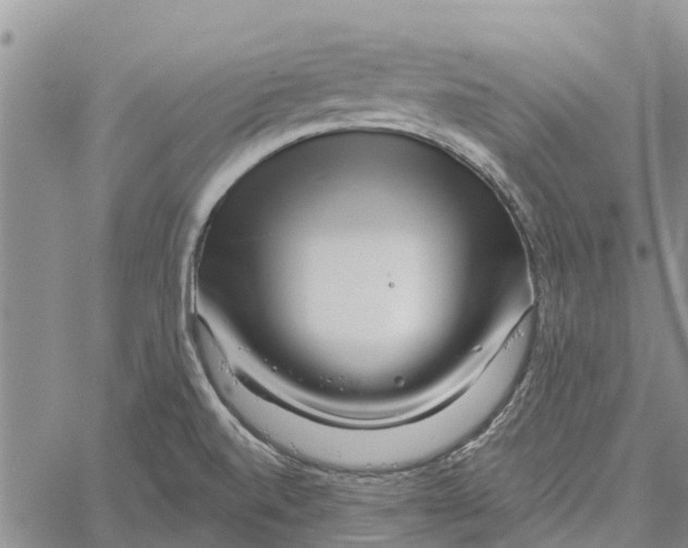 X0000060581520200512011720