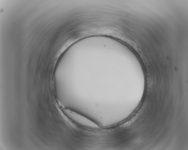 X0000060581521200512011720