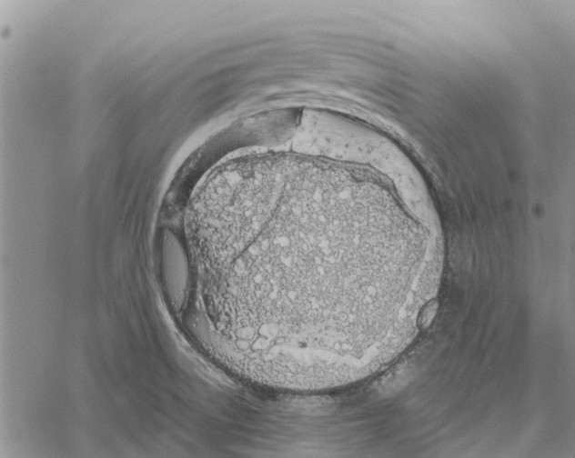 X0000060581522200512011720