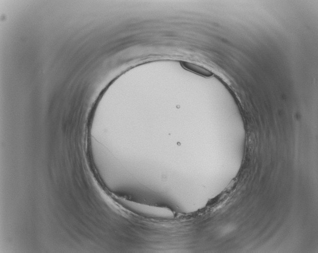 X0000060581523200512011720