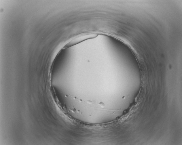 X0000060581524200512011720