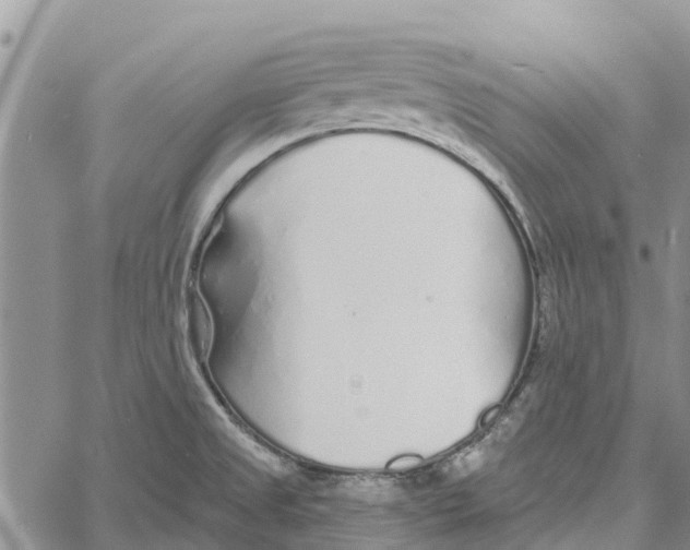 X0000060581525200512011720