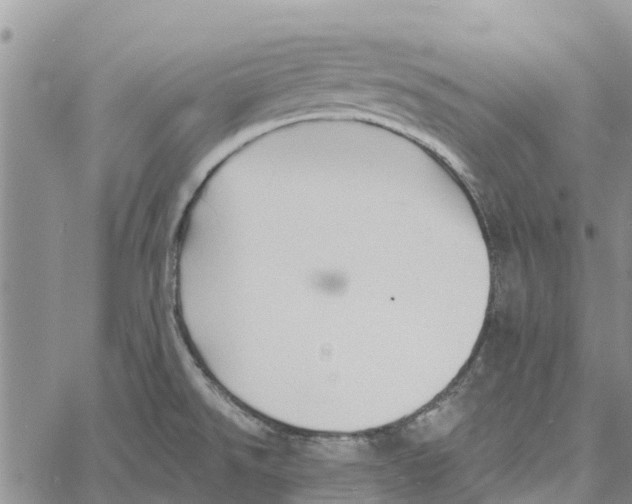 X0000060581526200512011720