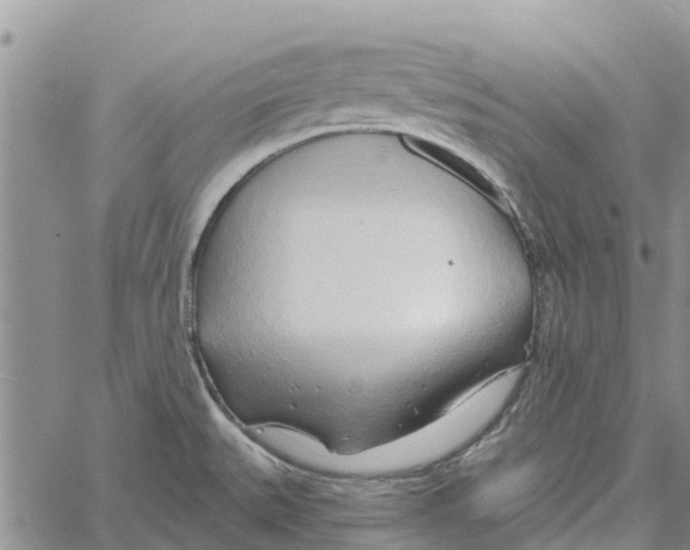 X0000060581527200512011720