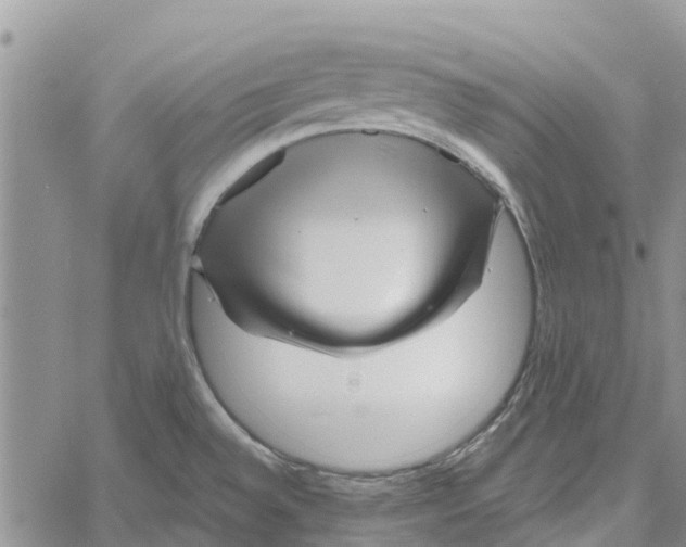 X0000060581528200512011720