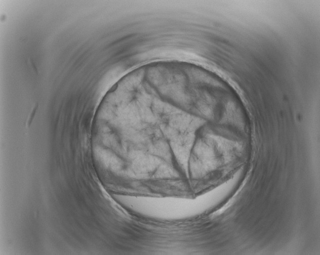 X0000060581529200512011720