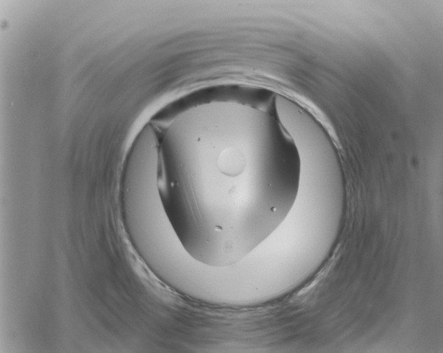 X0000060581530200512011720