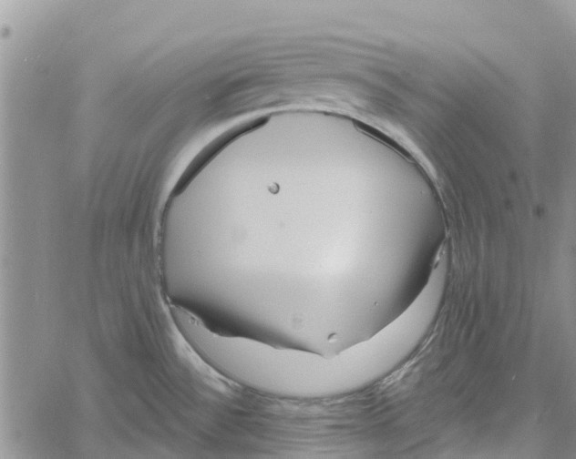 X0000060581532200512011720