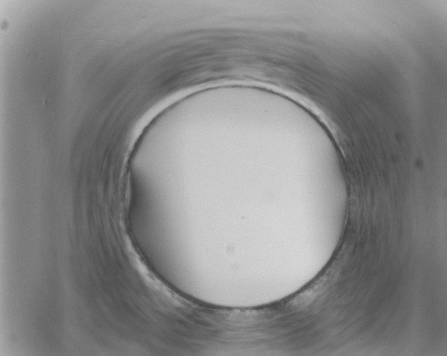 X0000060581534200512011720