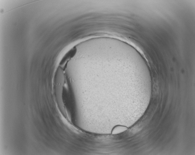 X0000060581535200512011720