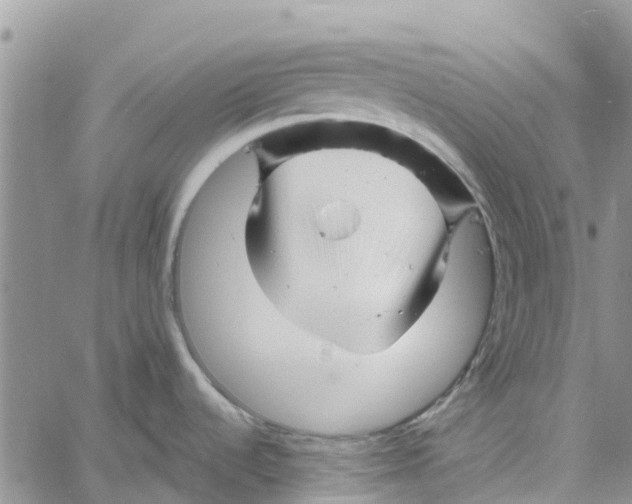 X0000060581536200512011720