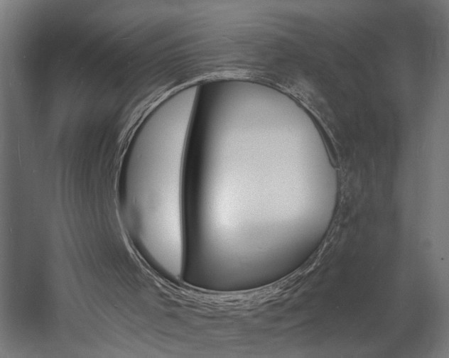 X0000060740001200511100924