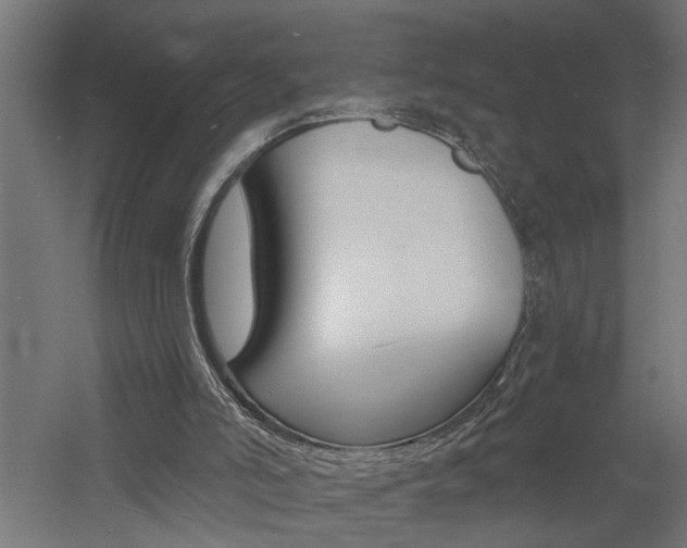 X0000060740006200511100924