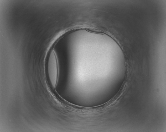 X0000060740008200511100924