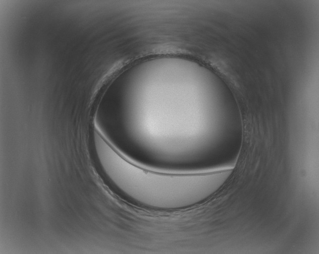 X0000060740015200511100923