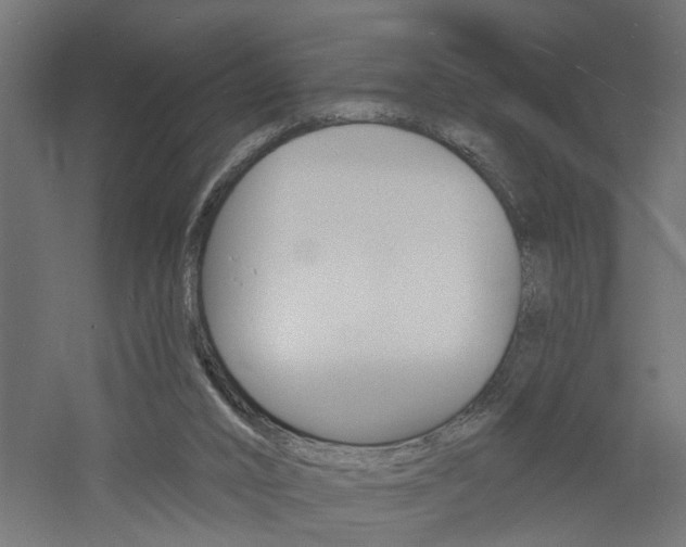 X0000060740016200511100923