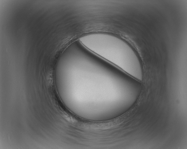 X0000060740017200511100923