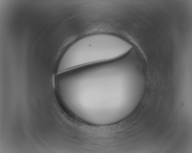 X0000060740019200511100923