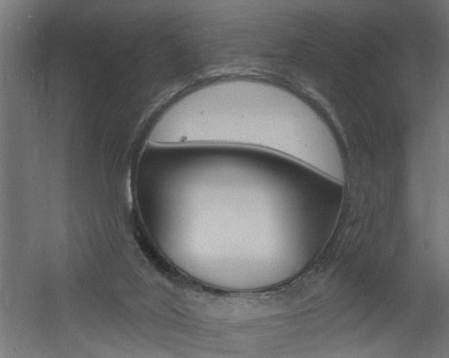 X0000060740020200511100923