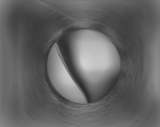 X0000060740023200511100923