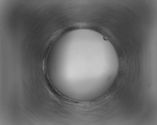 X0000060740024200511100923