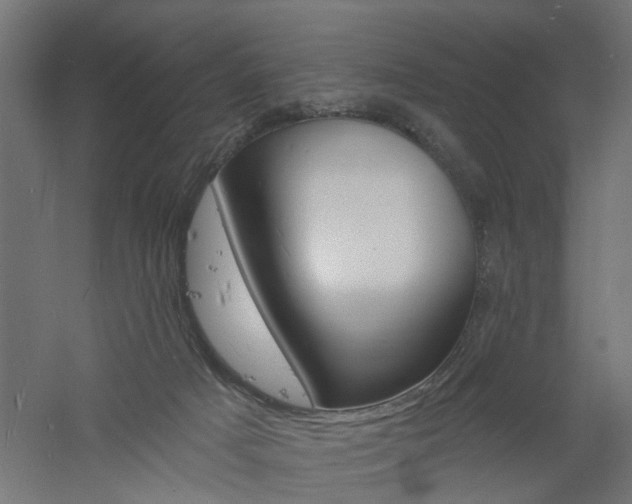 X0000060740025200511100923