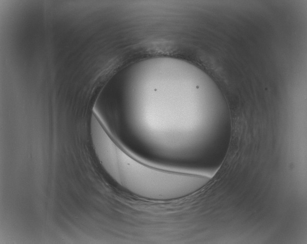 X0000060740027200511100923