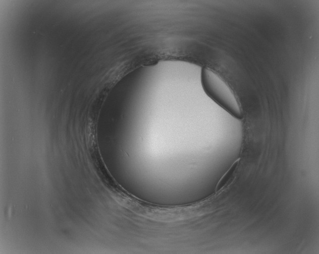 X0000060740029200511100923