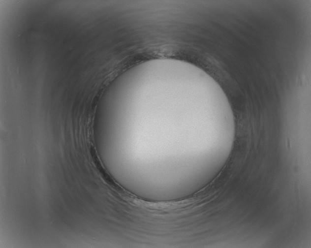 X0000060740030200511100923