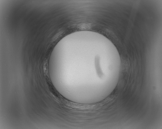 X0000060740032200511100923