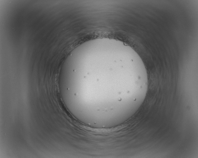 X0000060740034200511100923