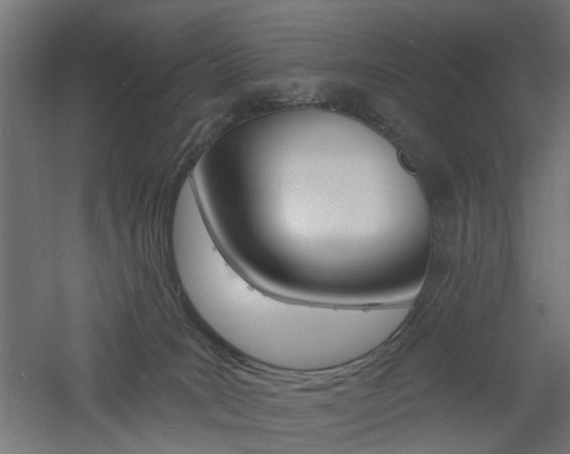 X0000060740035200511100923