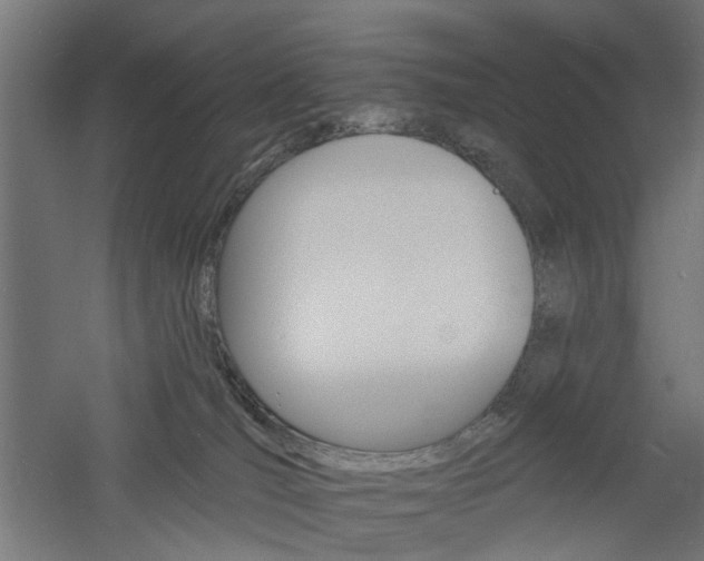 X0000060740036200511100923