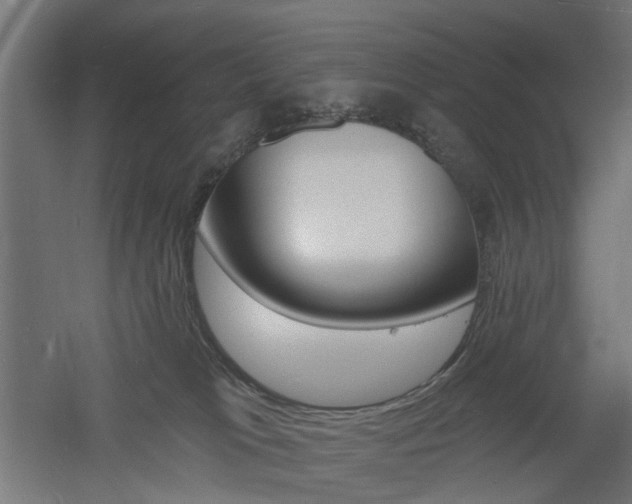 X0000060740037200511100923