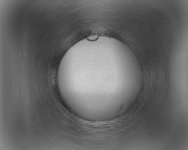 X0000060740038200511100923