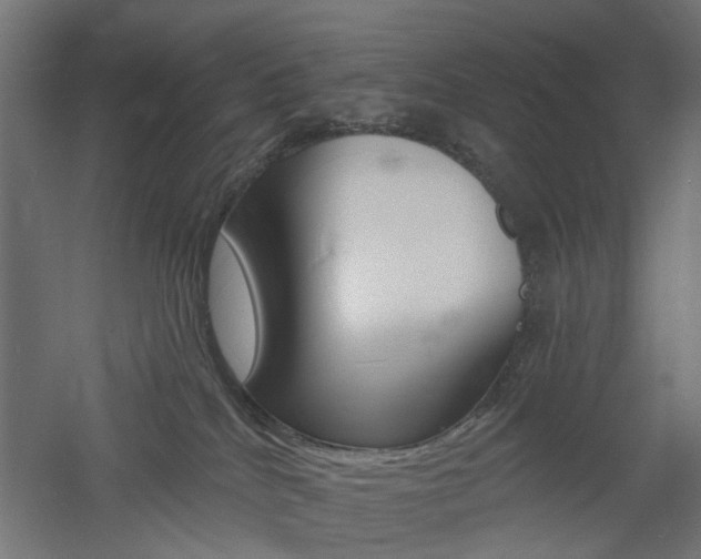 X0000060740040200511100923