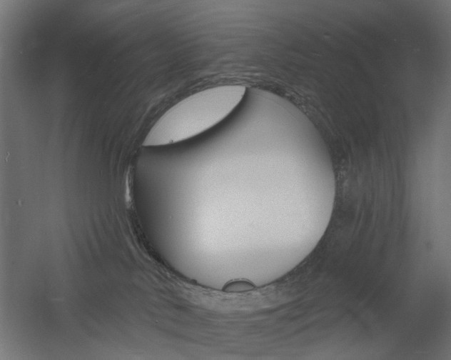 X0000060740042200511100923