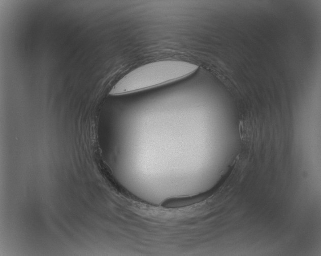 X0000060740043200511100923