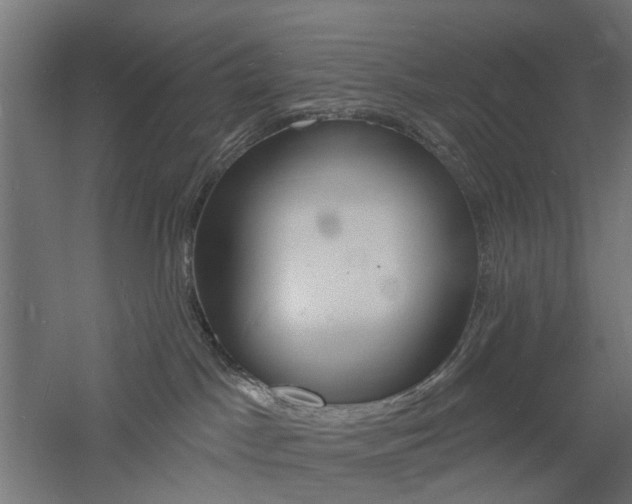 X0000060740045200511100923