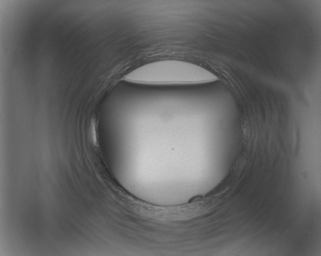 X0000060740046200511100923